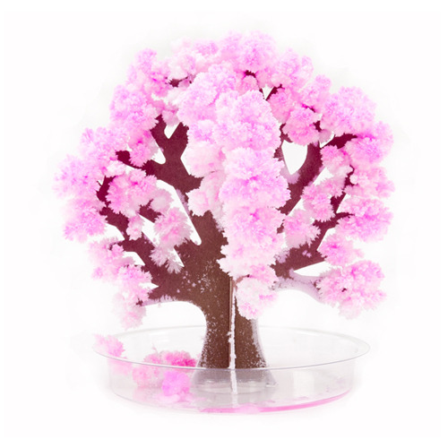 (코끼리밥)(요술꽃나무 30915) 요술벚꽃(Crystal Cherry Blossom)