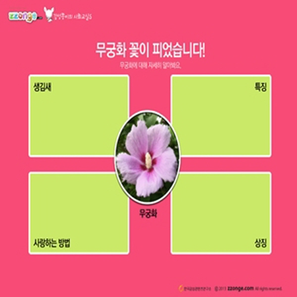 (STEAM & smart) 감성쫑이의 스토리텔링 사회교실5 : 우리나라 꽃 무궁화(10묶음)