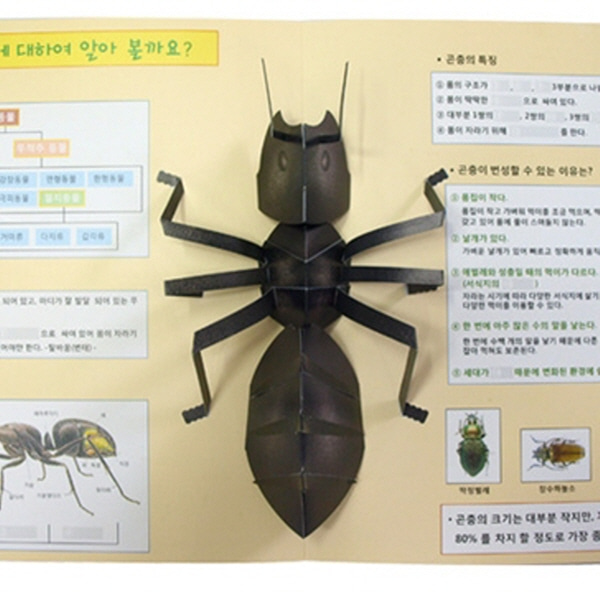 (이미경의팝업) 곤충의 특징-DIY 과학 팝업북만들기
