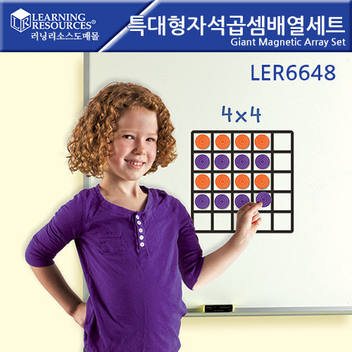 (LER6648)특대형 자석 곱셈 배열세트