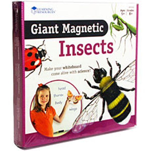 (EDU 6042) 특대형 자석 곤충 모형 Giant Magnetic Insects
