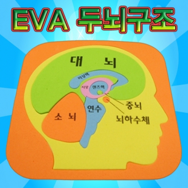 (미래바치)EVA 두뇌구조퍼즐 (5인용)