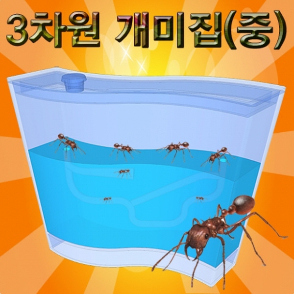 (미래바치) 3차원 개미집(중)