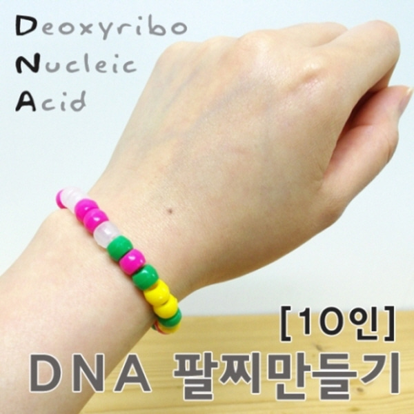 (미래바치)DNA팔찌 만들기(일반/10인용)