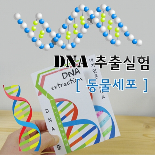 (미래바치) 동물세포 DNA추출법(10인용)