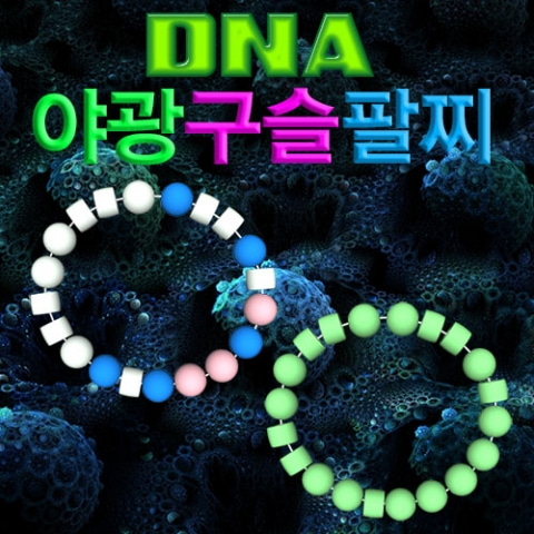 (미래바치)DNA 야광 구슬팔찌 만들기(10인용)