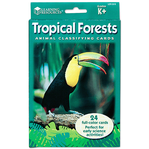 (EDU 2916) 동물 분류 카드 - 열대 우림 동물 Animal Classfying Cards Tropical Forests