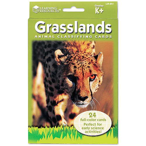 (EDU 2917) 동물 분류 카드 - 초원 지대 동물 Animal Classfying Cards Grasslands