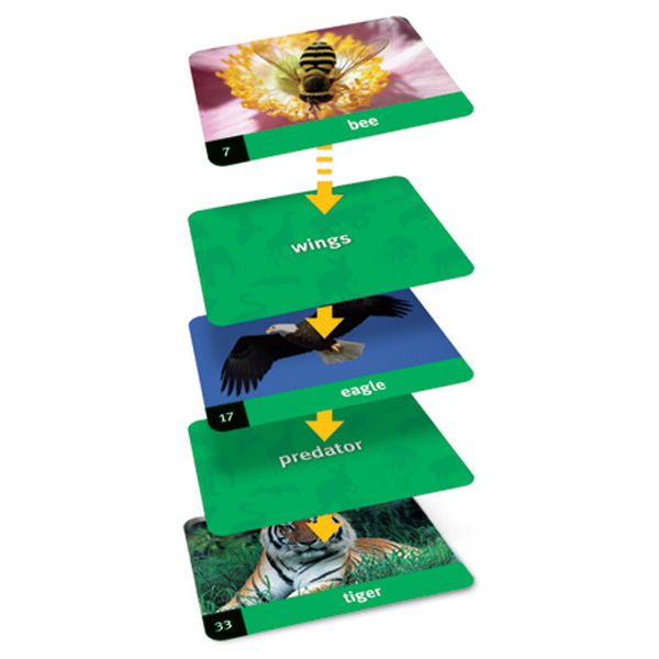 (EDU 2890) 카드 연결 게임 - 동물 Linkology™ Card Games- Animals