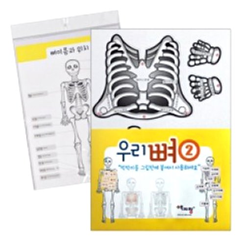 (문구) 우리뼈2 우리몸구조(1세트)/922250/유치원 어린이집 교육용